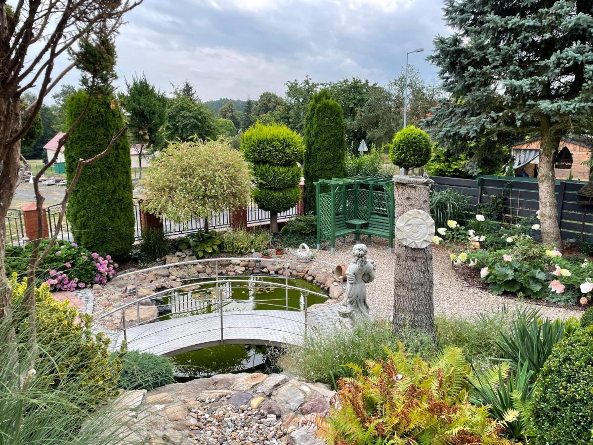 Hortus Apartament Z Klimatyzacja ブンツラウ エクステリア 写真