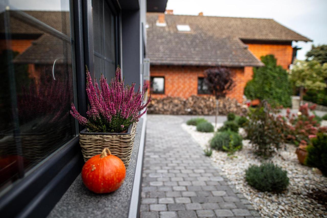 Hortus Apartament Z Klimatyzacja ブンツラウ エクステリア 写真