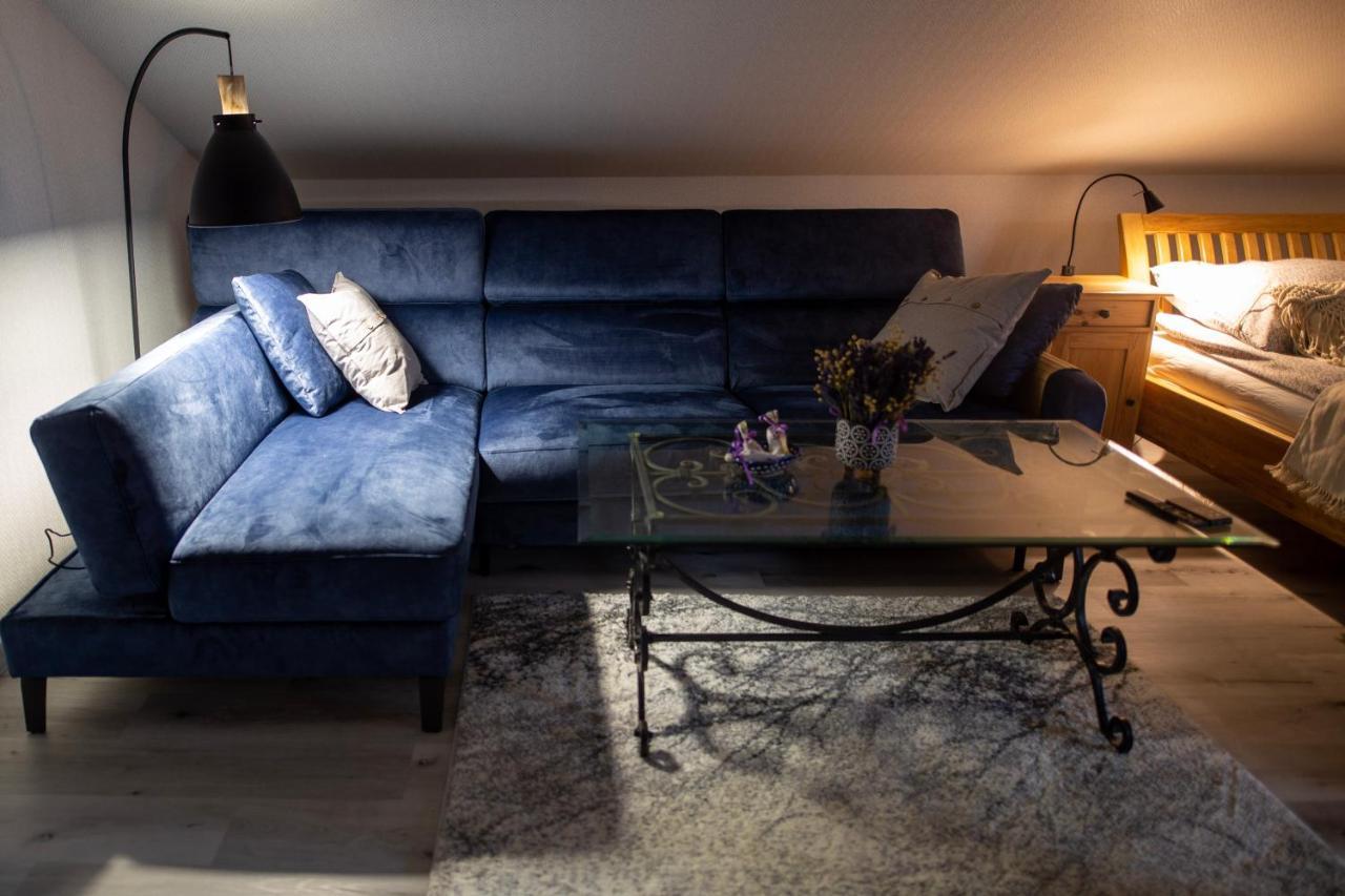 Hortus Apartament Z Klimatyzacja ブンツラウ エクステリア 写真