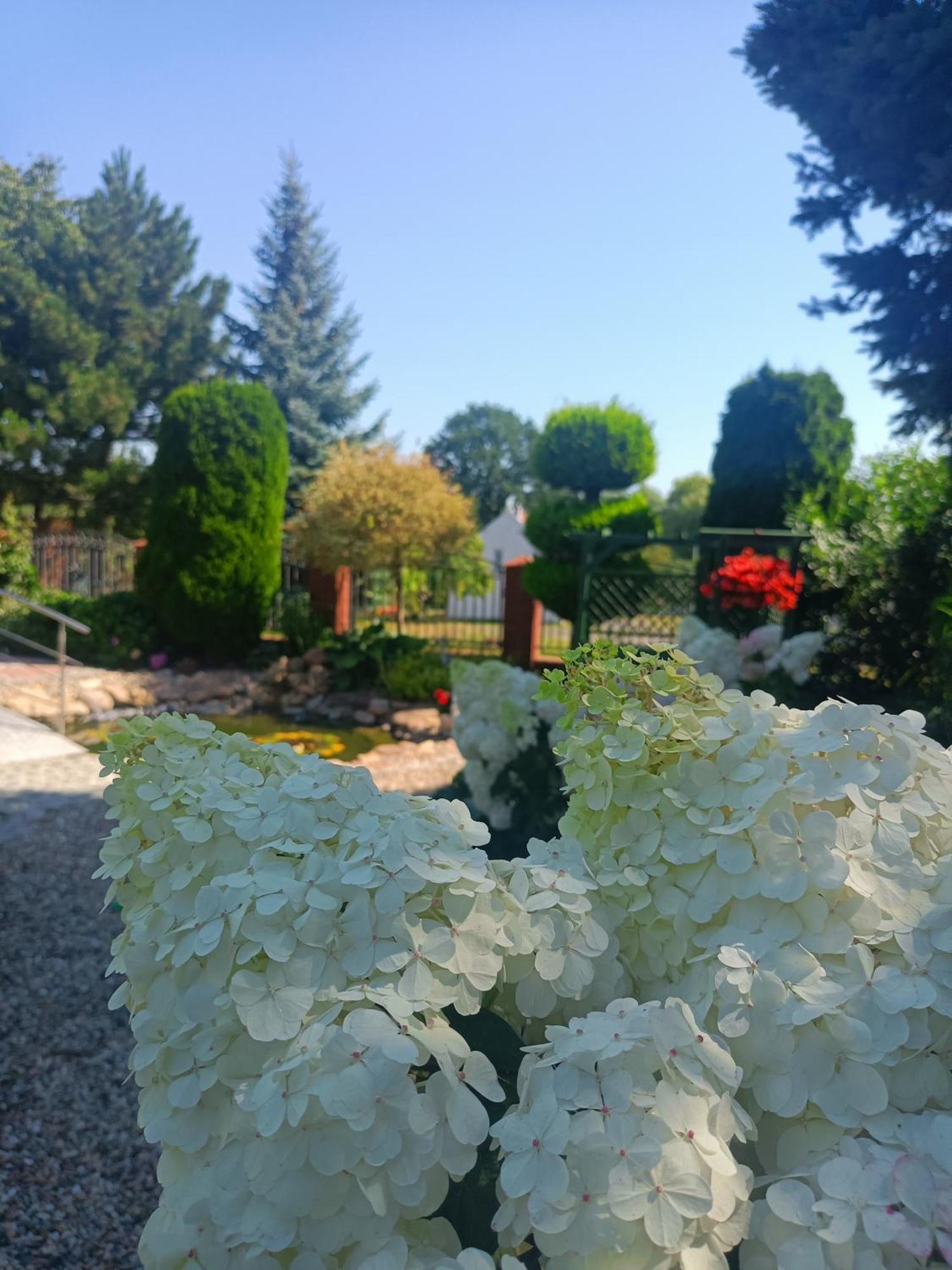 Hortus Apartament Z Klimatyzacja ブンツラウ エクステリア 写真