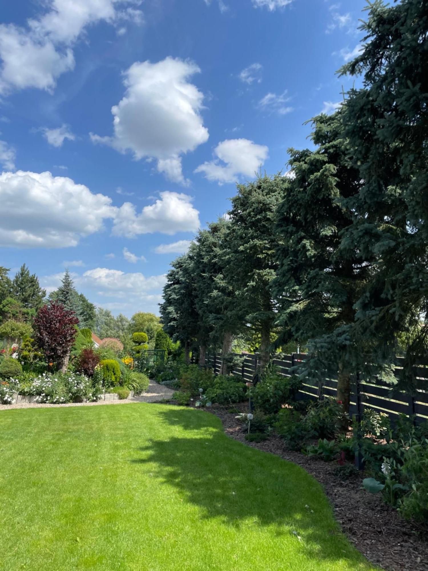 Hortus Apartament Z Klimatyzacja ブンツラウ エクステリア 写真