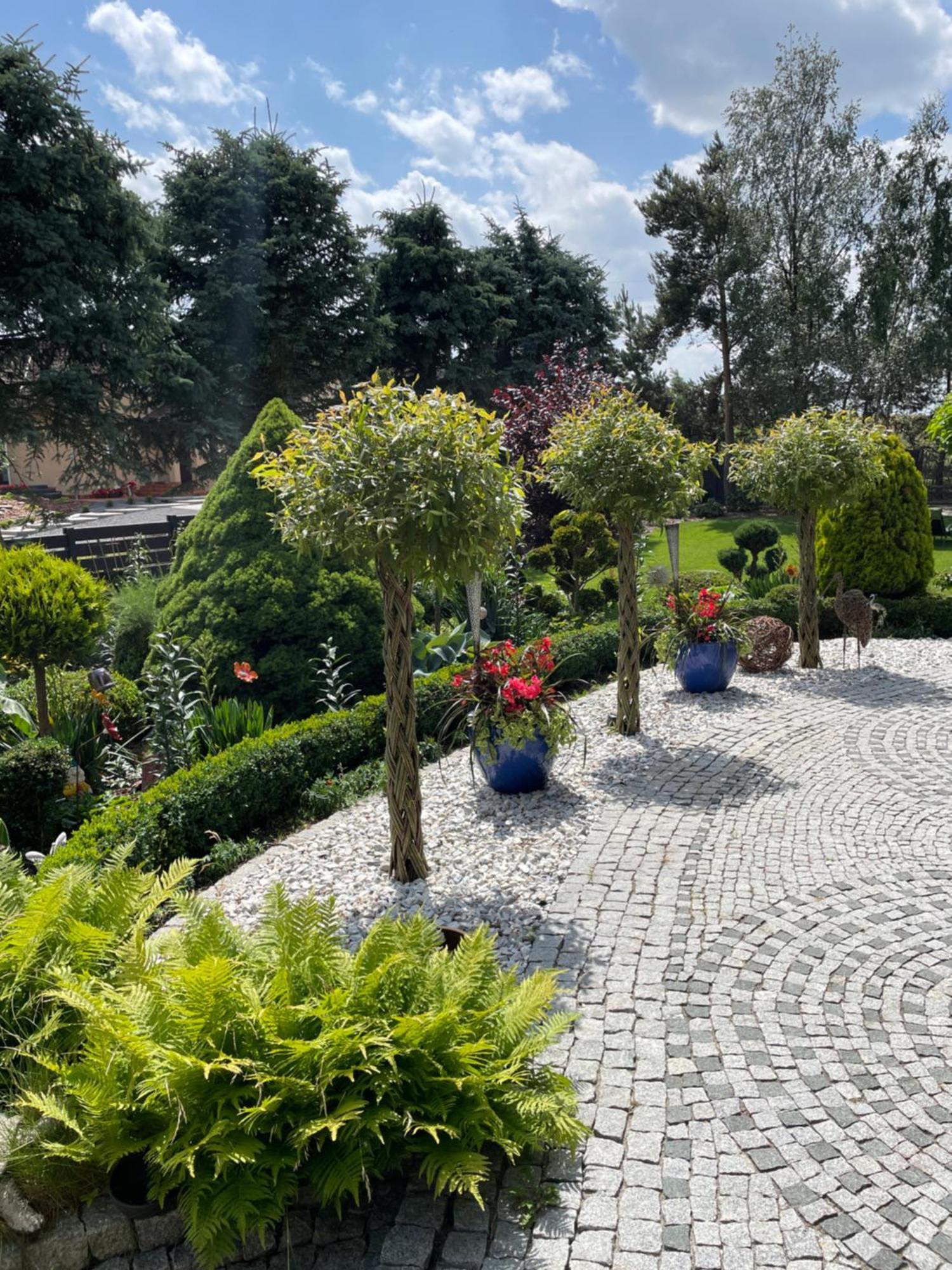 Hortus Apartament Z Klimatyzacja ブンツラウ エクステリア 写真