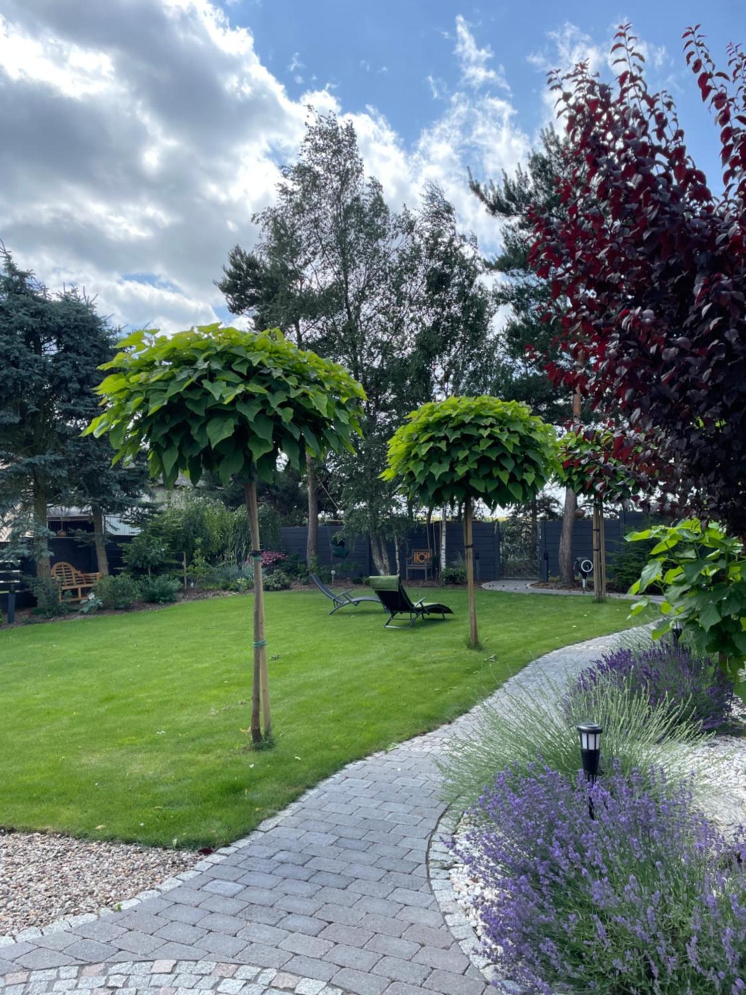 Hortus Apartament Z Klimatyzacja ブンツラウ エクステリア 写真