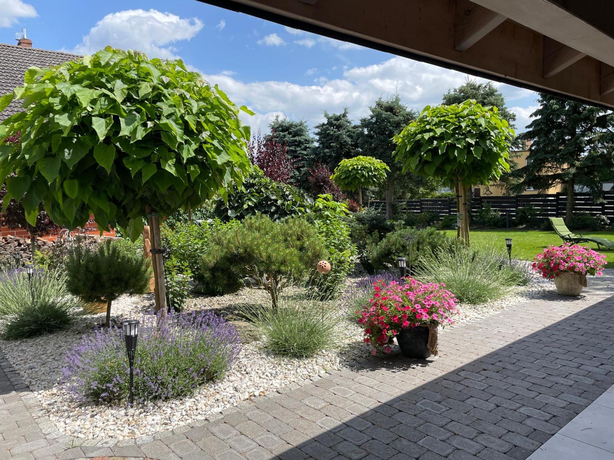 Hortus Apartament Z Klimatyzacja ブンツラウ エクステリア 写真
